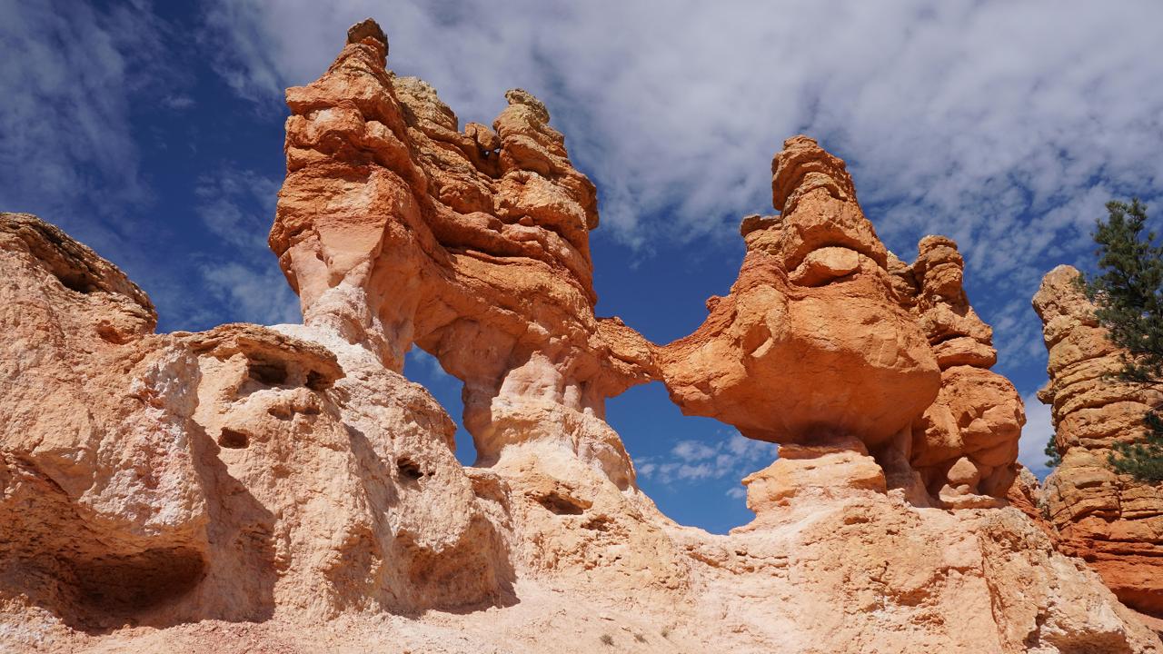 【Zion and Bryce Canyon Day Tour