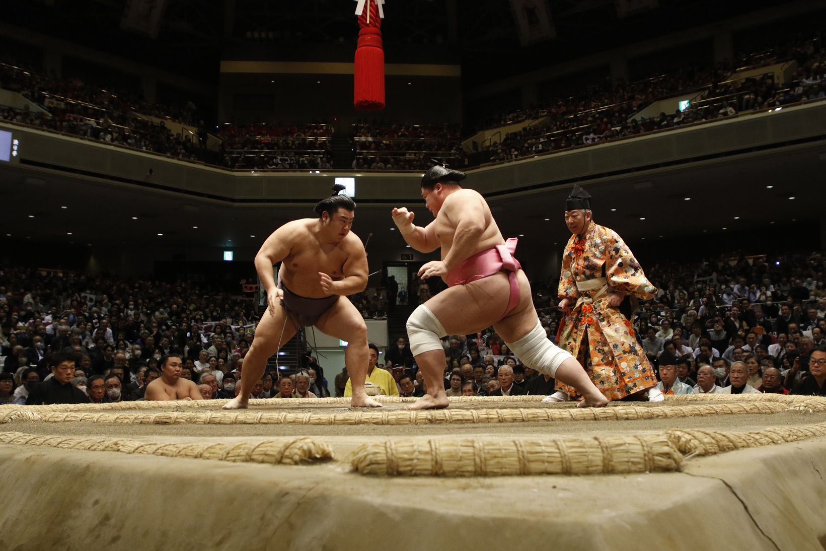 大人気・大相撲！】大相撲観戦ツアー7月名古屋場所・IGアリーナ