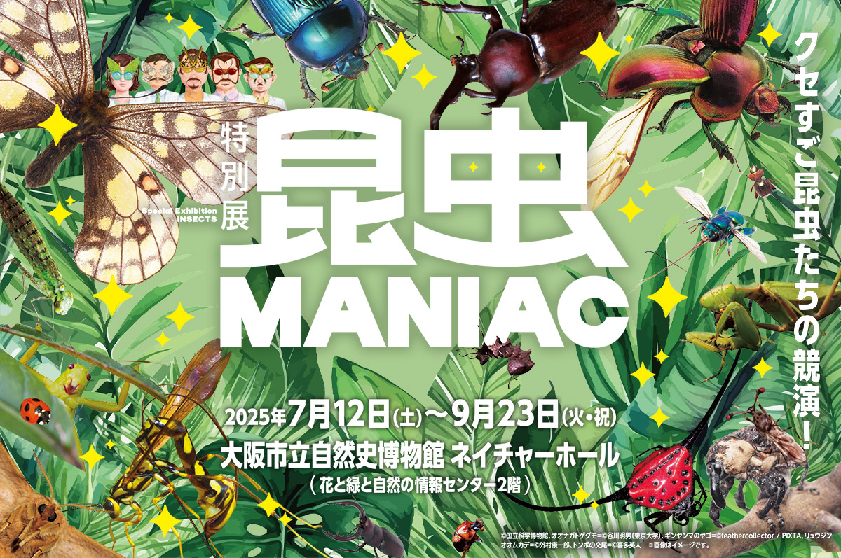 特別展 『昆虫 MANIAC』 入場チケット（大阪府・イベント） - KKday