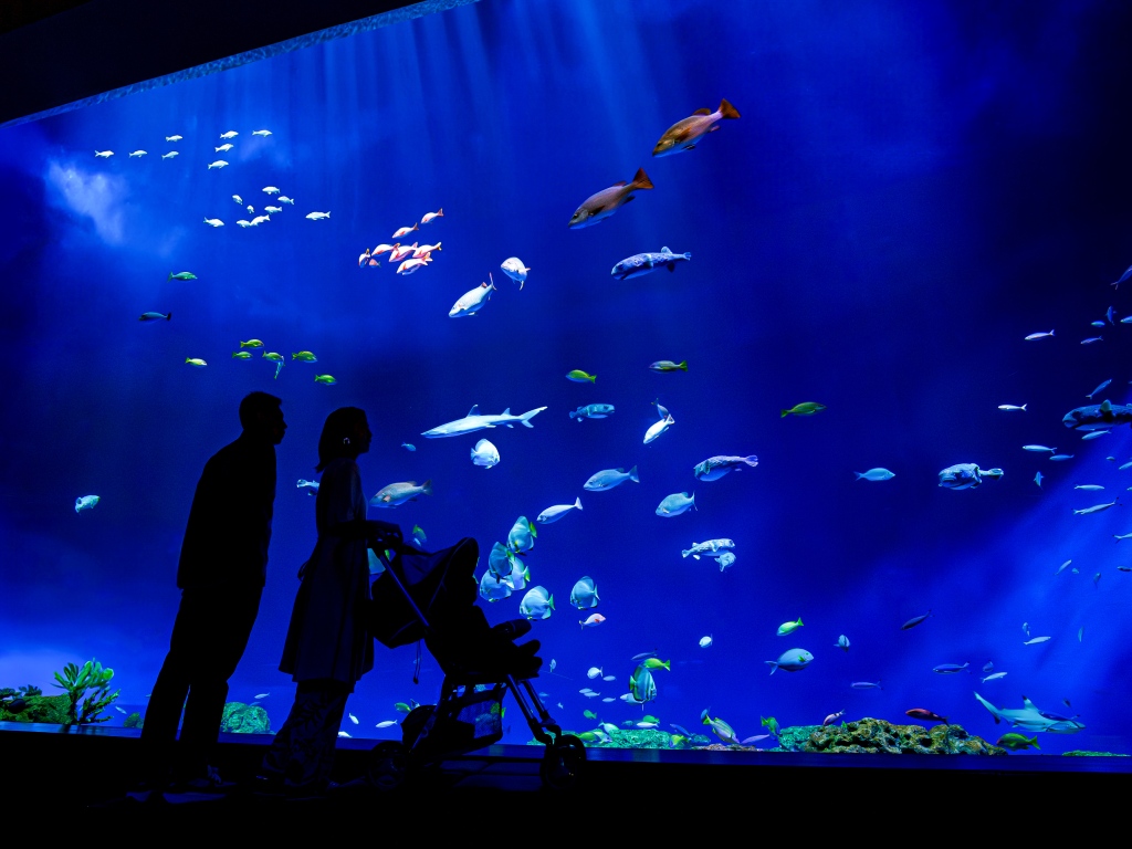 沖繩 DMM Kariyushi 水族館門票