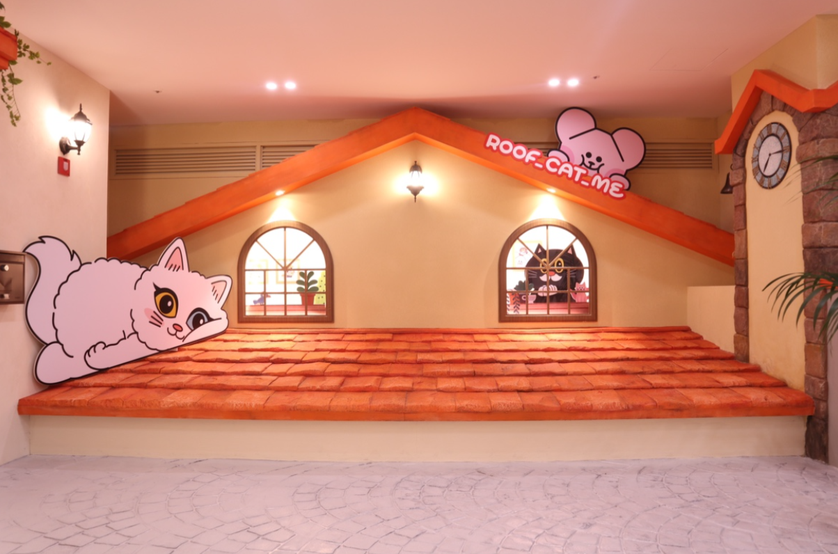 弘大】ROOF_CAT_ME 猫カフェ 平日割引入場券 - KKday