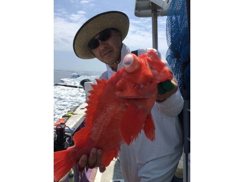 静岡・御前崎沖で深海釣り体験！キンメダイ・アコウダイを狙おう - KKday