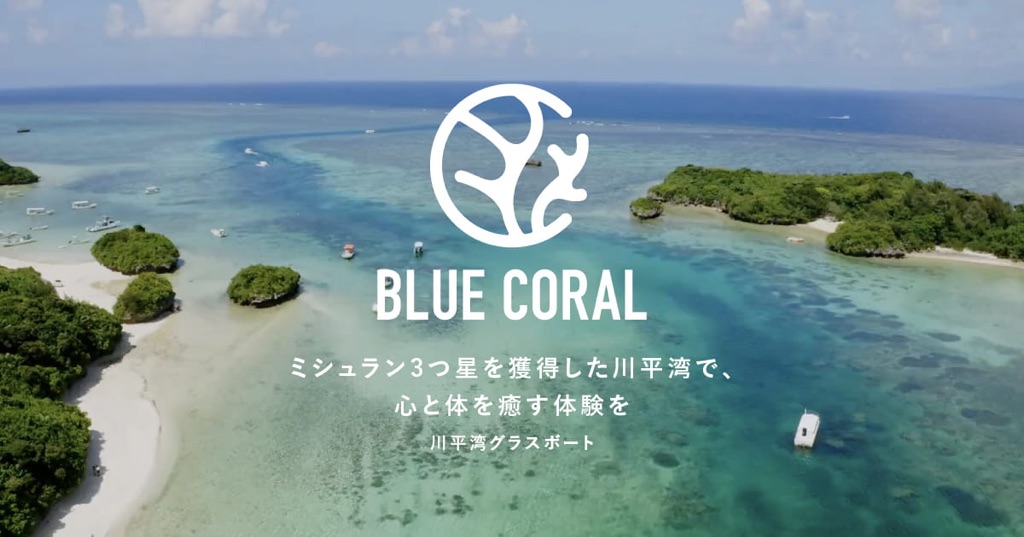 沖縄県石垣島の青い珊瑚礁のガラスボート - KKday