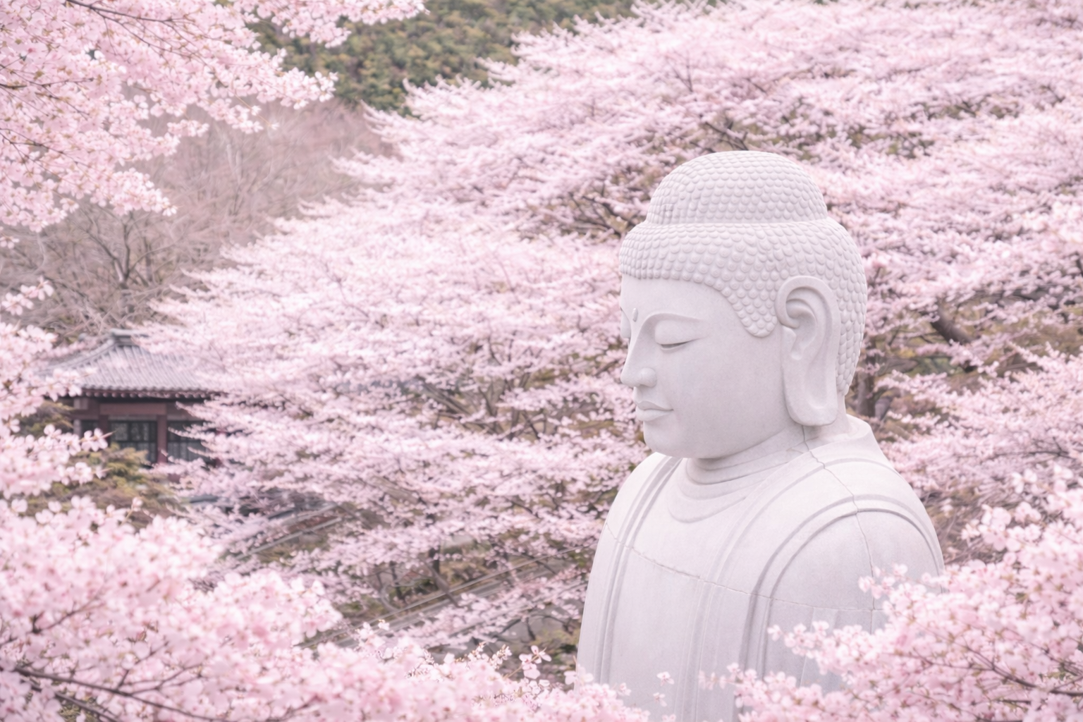 A day trip to Yoshino Mountain in Nara, Japan, to see cherry