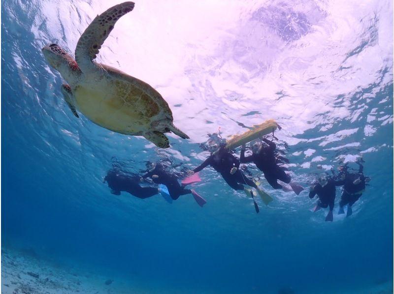 沖縄・宮古島】＜ウミガメとサンゴお魚シュノーケリングツアー＞写真