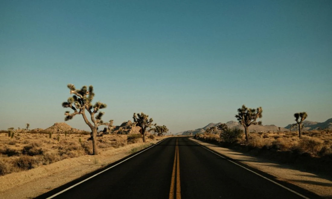 Las Vegas to Los Angeles one way tour via Joshua Tree National Park - KKday