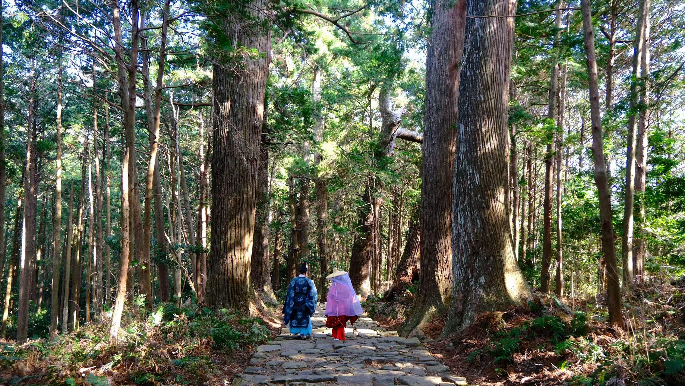 最低催行人数6名】熊野古道世界遺産を巡る2日間の山海ハイキング＆熊野