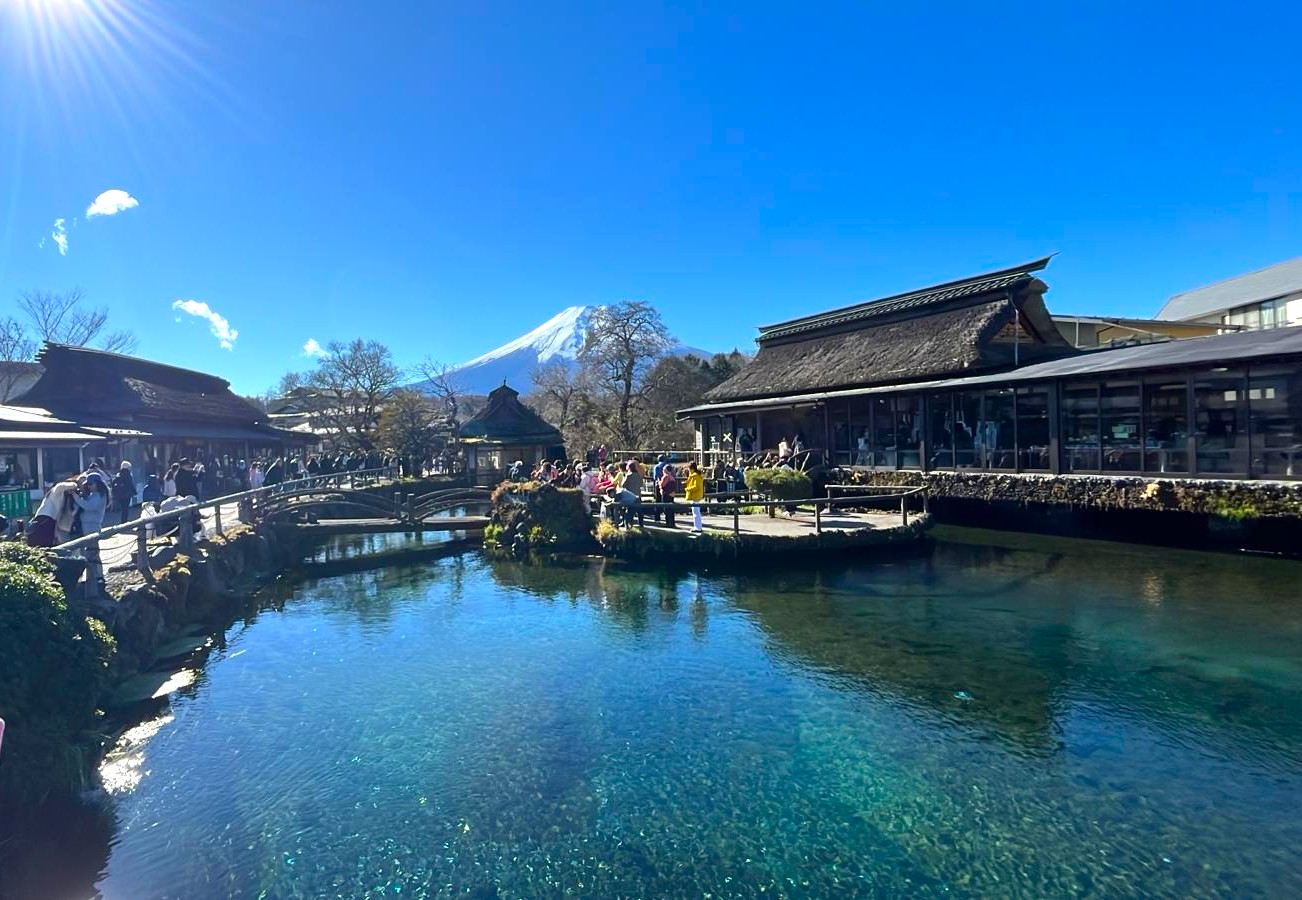 富士山本栖湖50万本芝桜まつり1日ツアー |浅間神社、忍野八海、日川