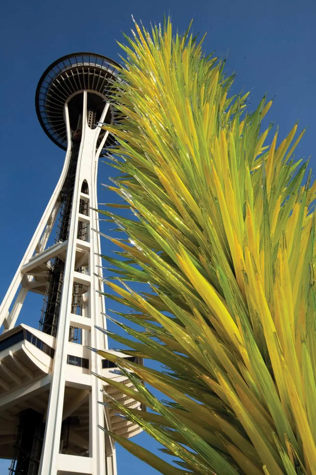 Seattle Space Needle And Chihuly Garden And Glass Experience Single Attraction Booking Available Kkday