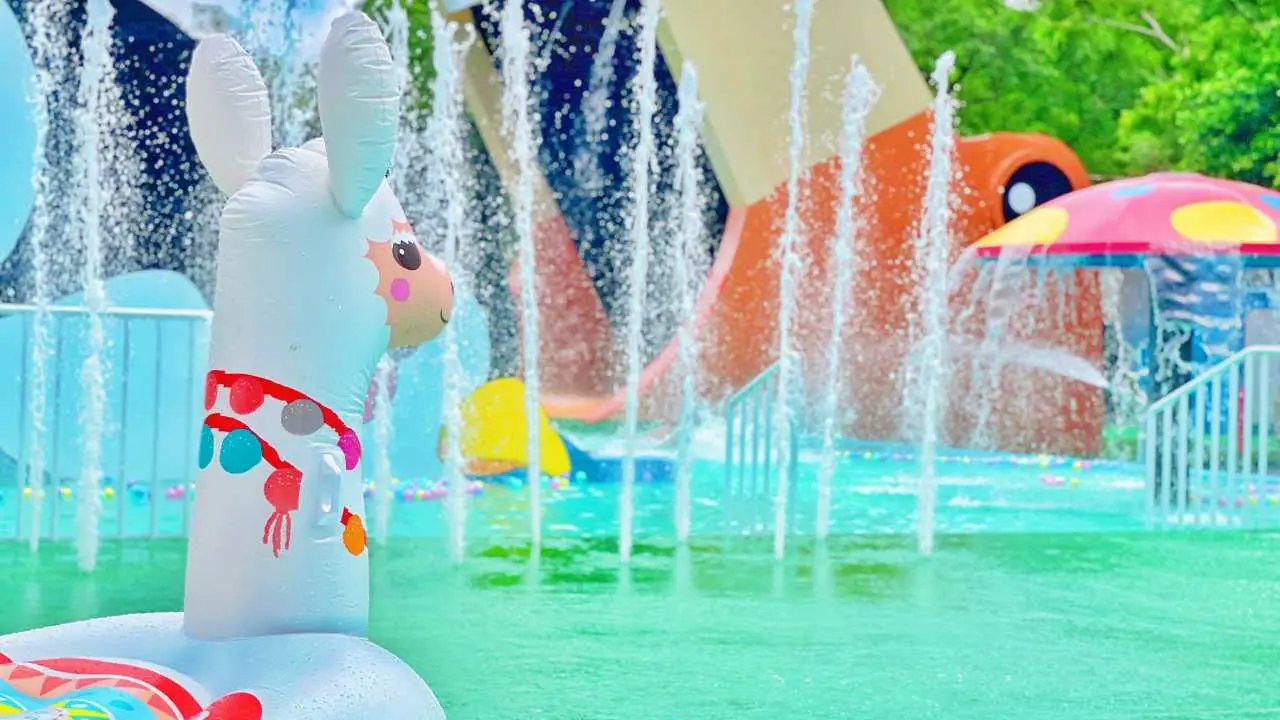 Tainan | Naughty World Safari | Tickets. Capybara interactive experience. Exclusive transfer package