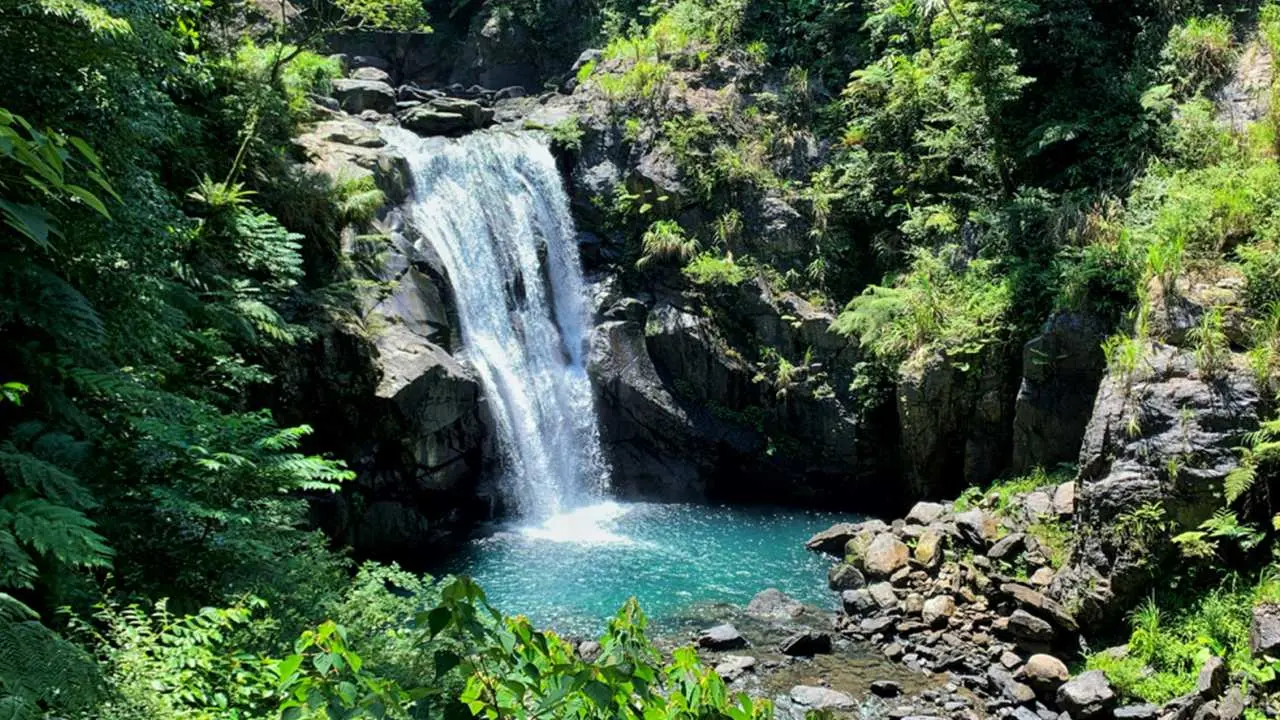 New Taipei | Wulaineidong National Forest Recreation Area Tickets