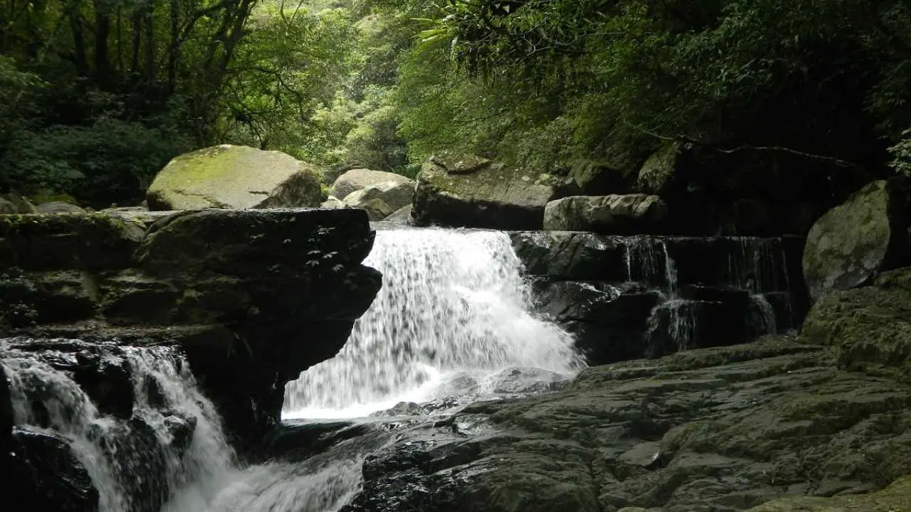 New Taipei Three Gorges|Man Yueyuan National Forest Recreation Area Tickets|Available on weekdays and holidays