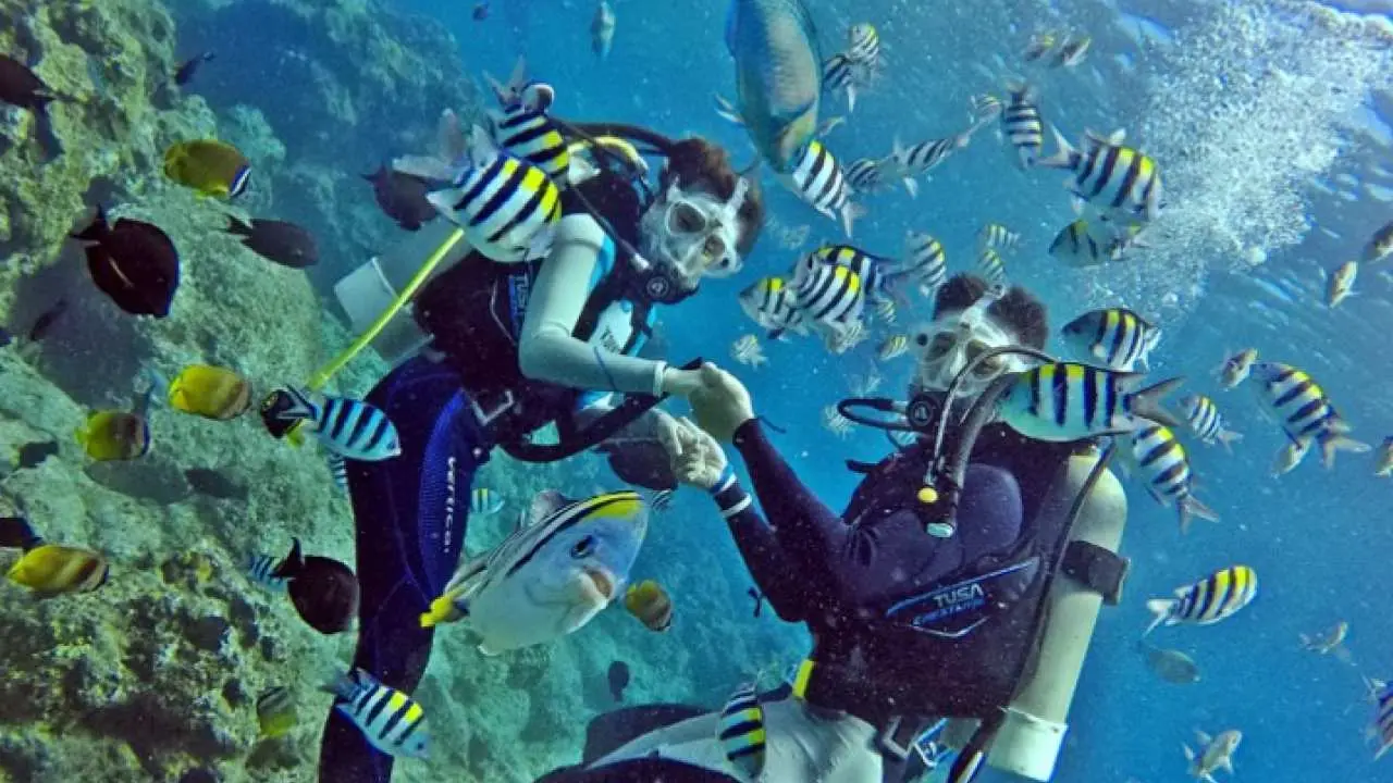 [80% off for group tour] Taiwan Green Island Water Sports | Experience Scuba Diving | Heat Wave Diving Center | No Diving License Required