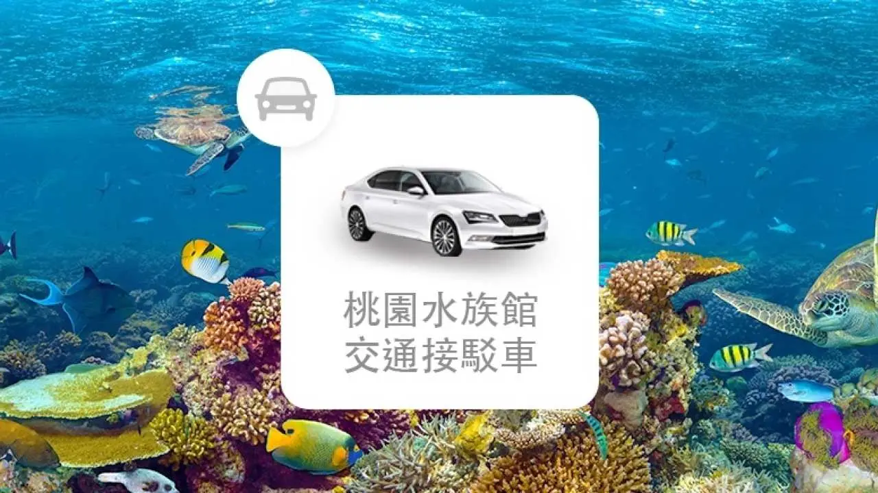 Taoyuan Aquarium | Chartered transportation | Pickup from Taipei City and New Taipei City