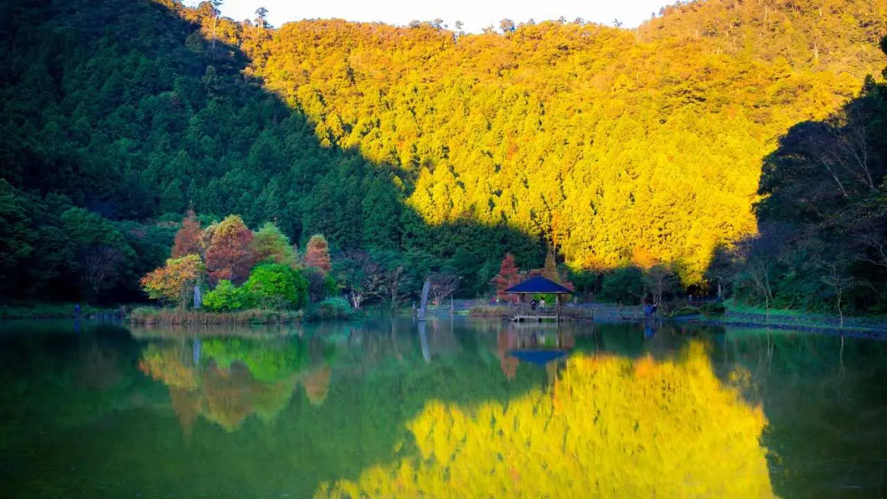 Yilan Mingchi One-day Tour | Mingchi Forest. Jiuliao Stream Ecology | Departing from Taipei | 25% off for additional high-speed rail tickets | KKday high-speed rail free distribution