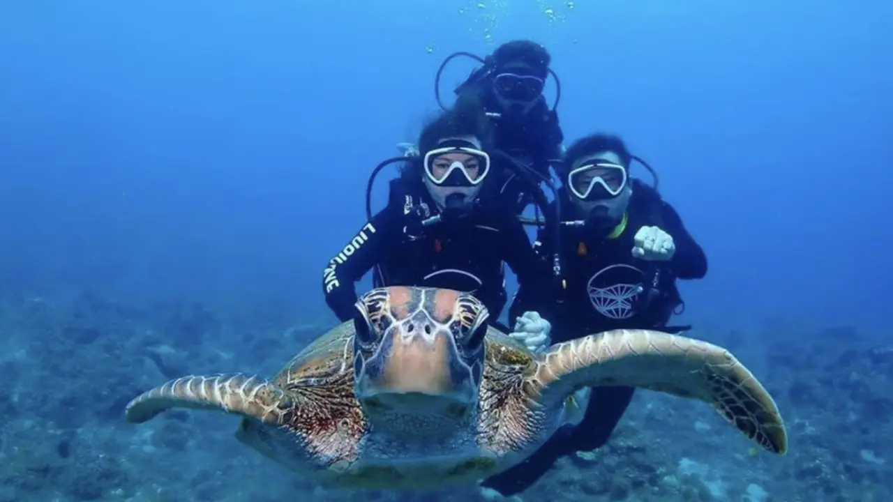 Xiaoliuqiu | Experience Diving & Travel Diving Fun Dive Experience | Shore Diving | Boat Diving | Free Underwater Photography Retouching