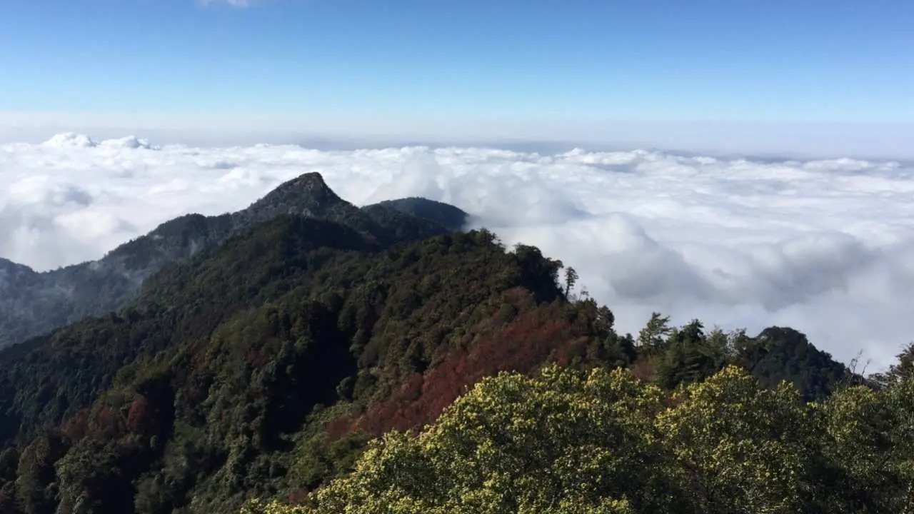 Taichung 2 days and 1 night | Daxueshan Forest Recreation Area & Dongshi Hakka Cultural Center | Departing from Miaoli