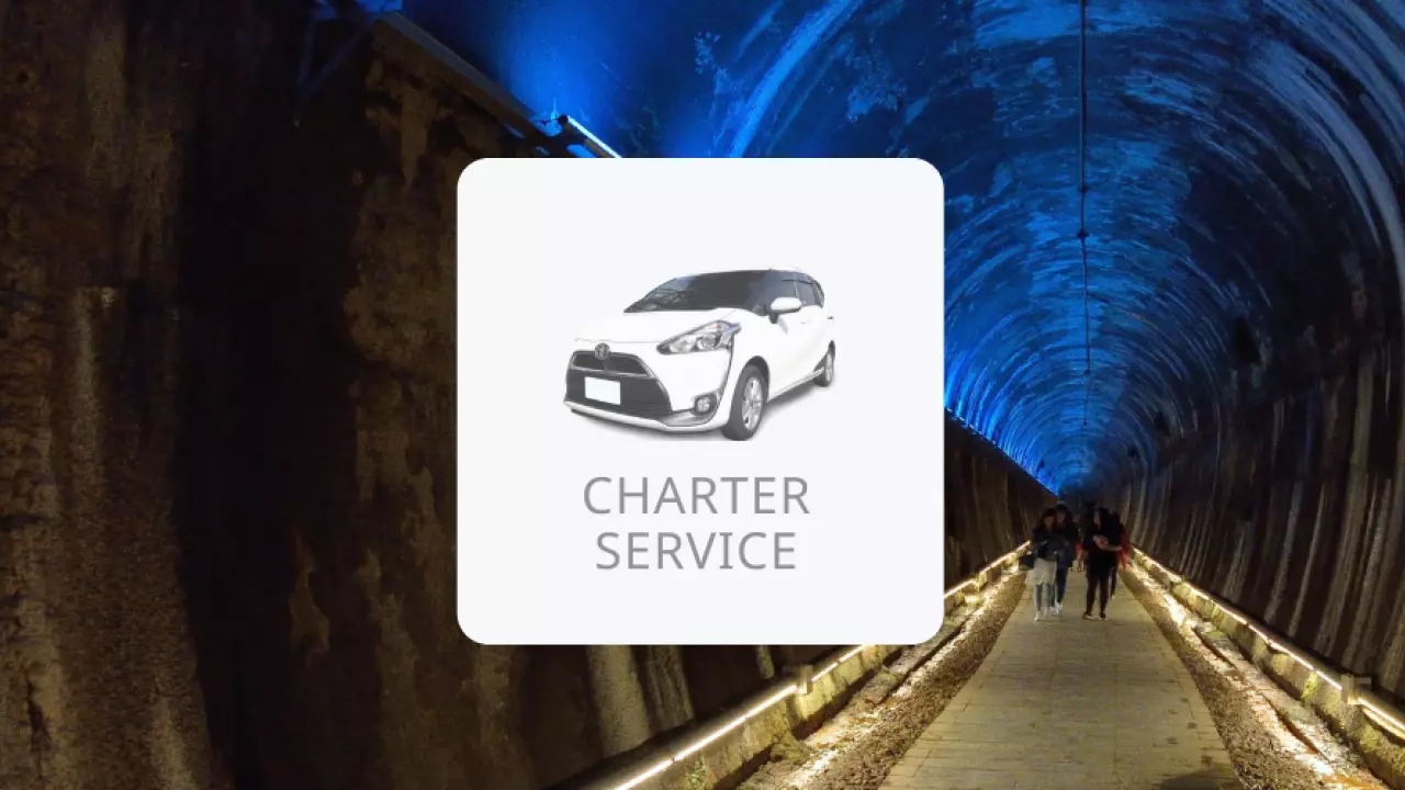 Miaoli chartered one-day transfer | Qiding Zimu Tunnel & Gongweixu Tunnel & Miaoli Yingcai Night Market | Select hours & attractions