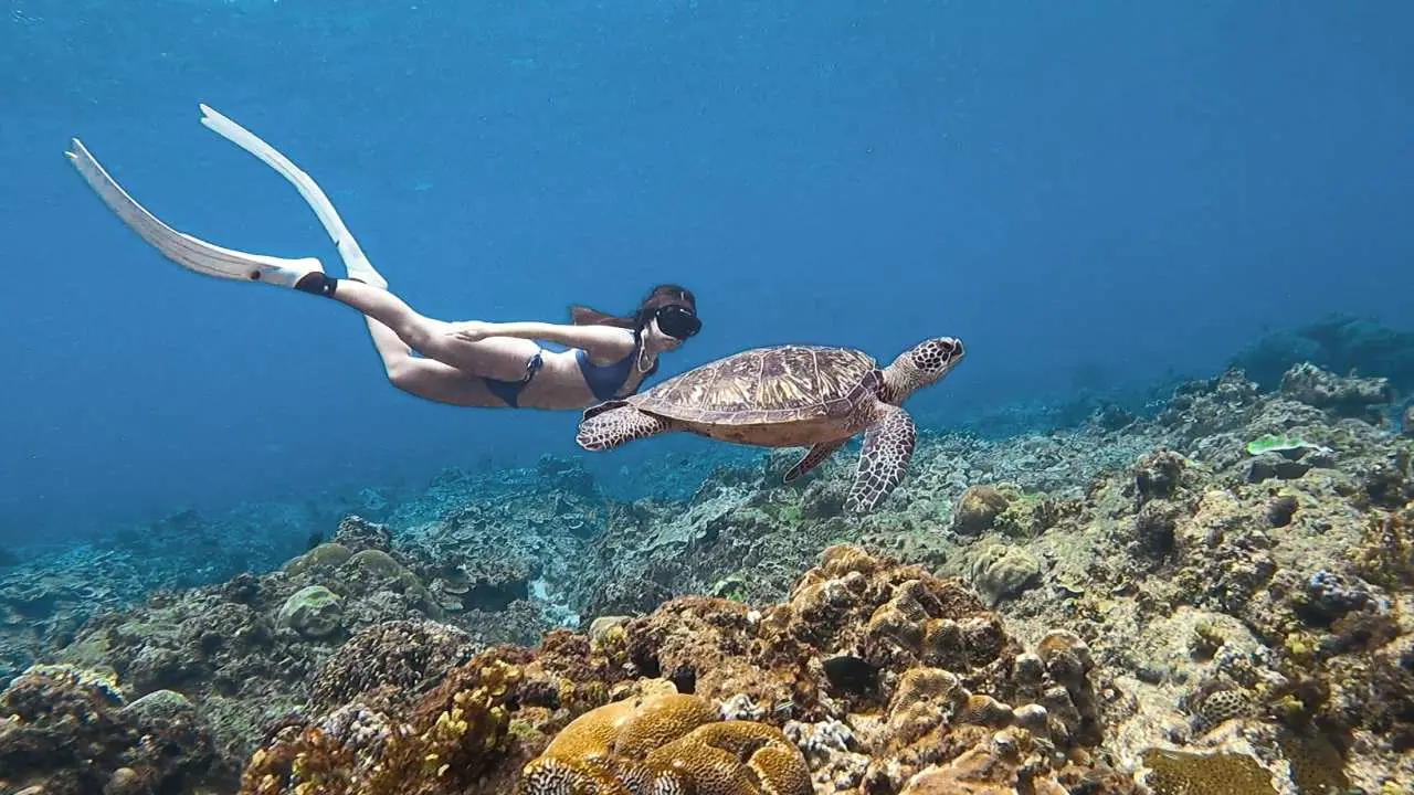 Pingtung Xiaoliuqiu | Free diving ocean light experience | No experience required | Water activities recommended | SaltyMind Freediving