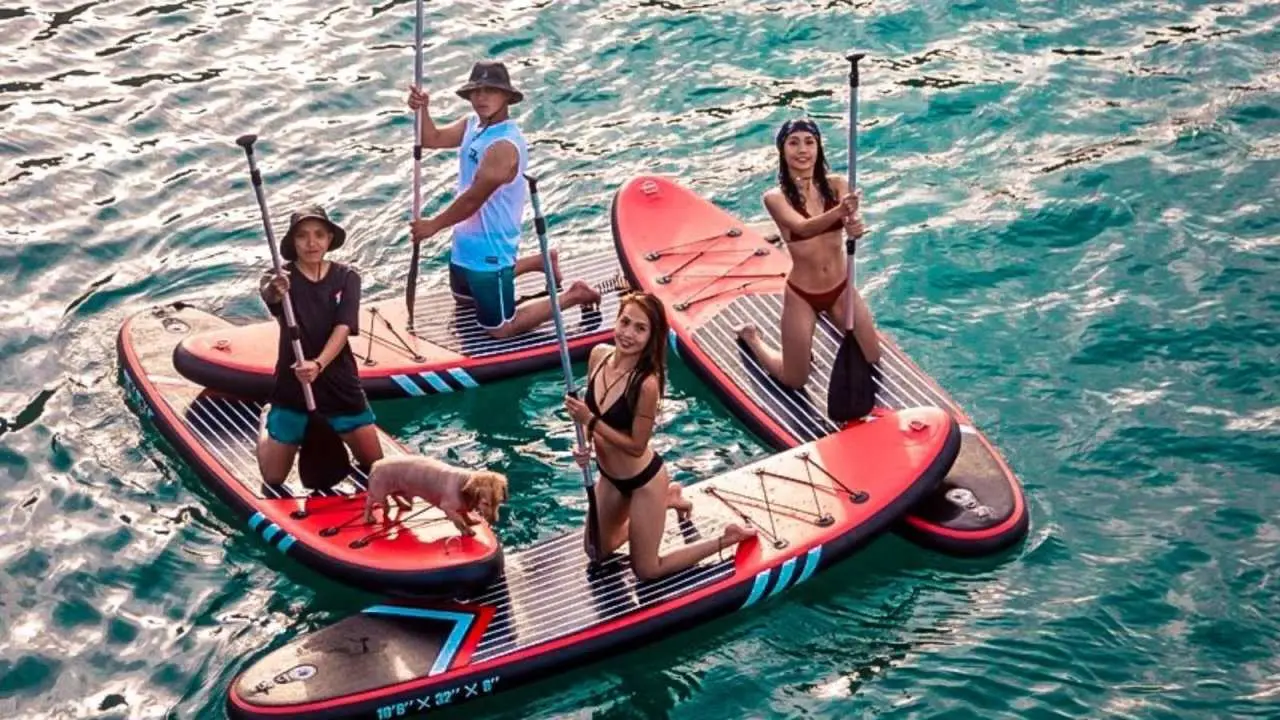 Taitung Chenggong | Stone Umbrella Diving & Natural Sea Mud & SUP Stand Up Paddle Experience Tour
