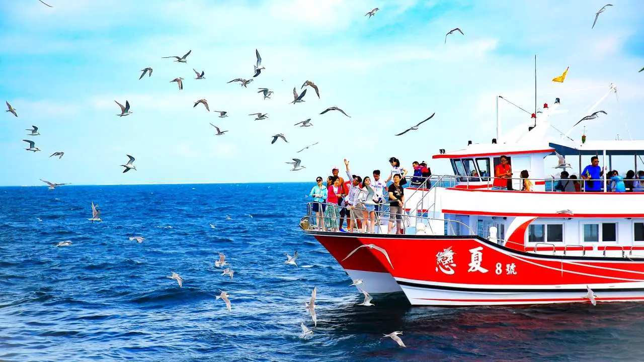 [2024 Penghu Fireworks Festival] Penghu | East China Sea Island Hopping One-day Tour | East China Sea Cruise & Tern Watching & Fun Sea Fishing & Snorkeling & Water Sports (Love Summer/Juhang/Yinhai)
