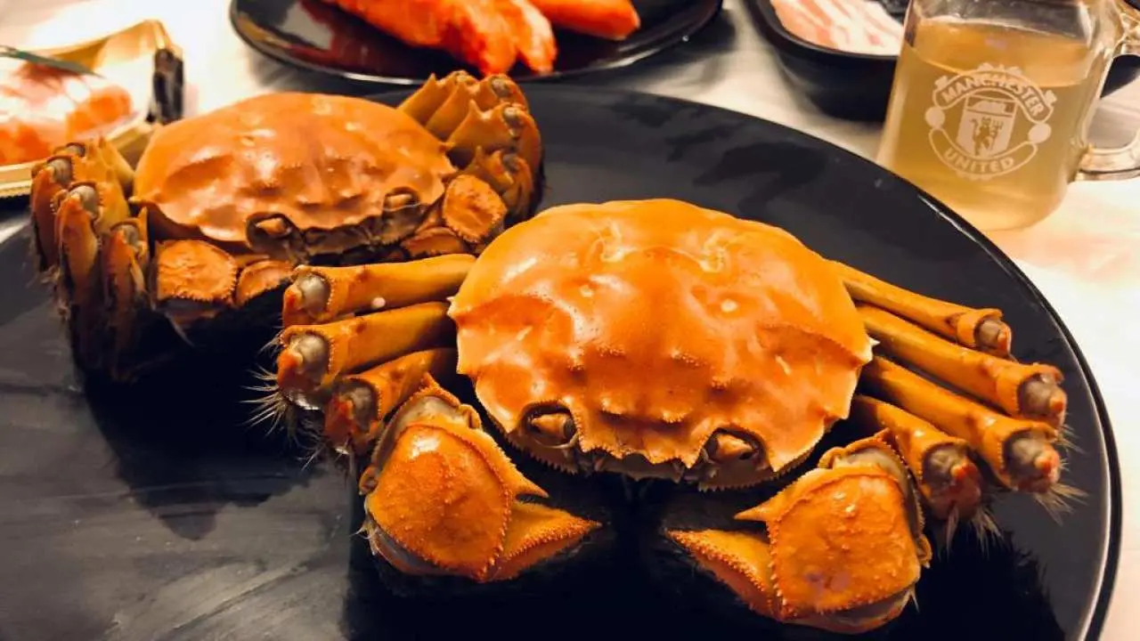【大閘蟹2024】肯尼海鮮Kenny Seafood 3両半-5両半極品江蘇大閘蟹|香港外賣直送/自取