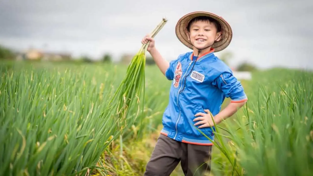 [Tour for one person] Yilan Samsung | Xingbao Country Road Experience Farm | Mini Donkey + Close Interaction with Sika Deer + Samsung Scallion Guide + Samsung Scallion Pancake DIY | Discount for Four People | Taiwanese Rural Travel