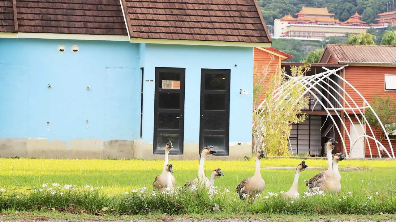 Yilan | Meihua Lake Leisure Farm x Rural Kitchen