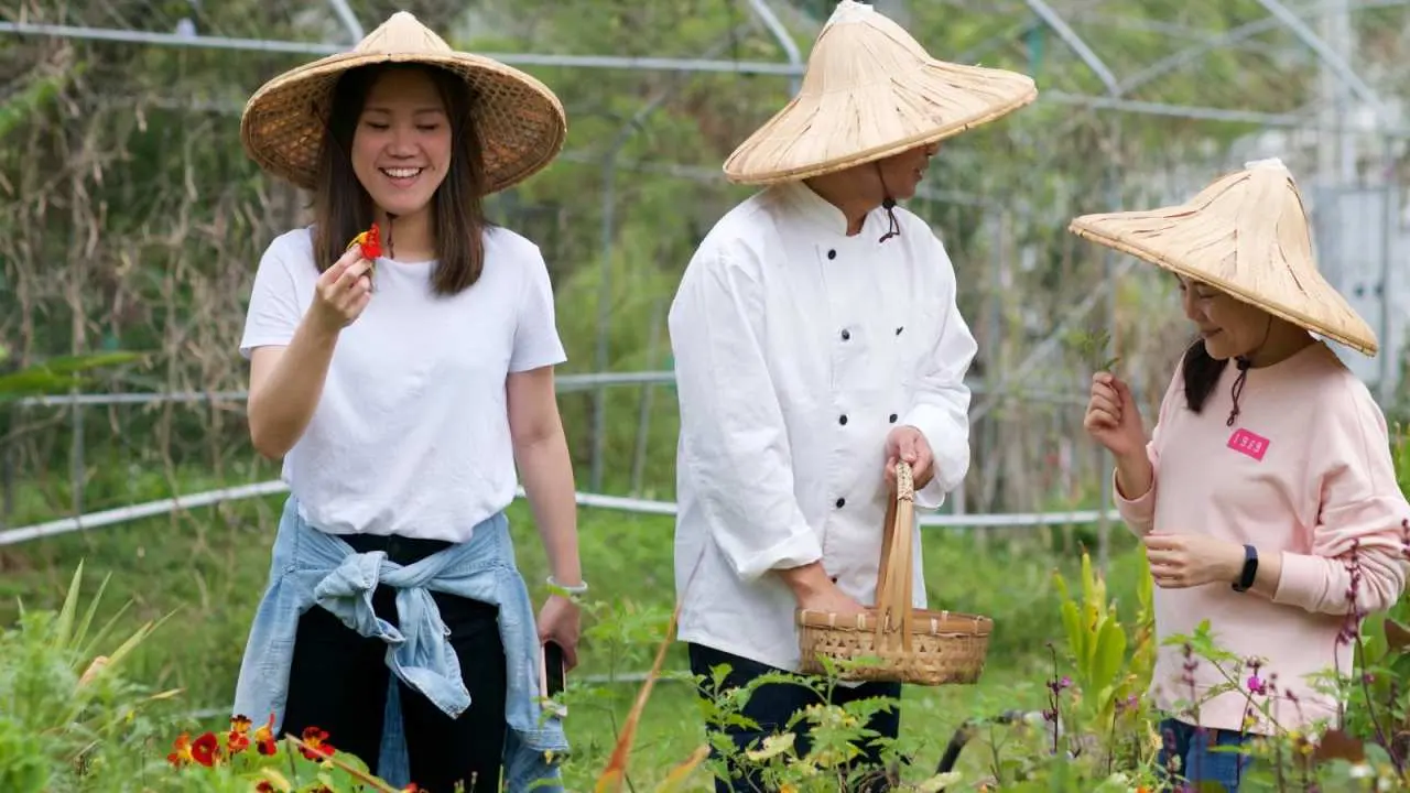 Miaoli | Feiniu Ranch x Rural Kitchen. Vanilla frankincense