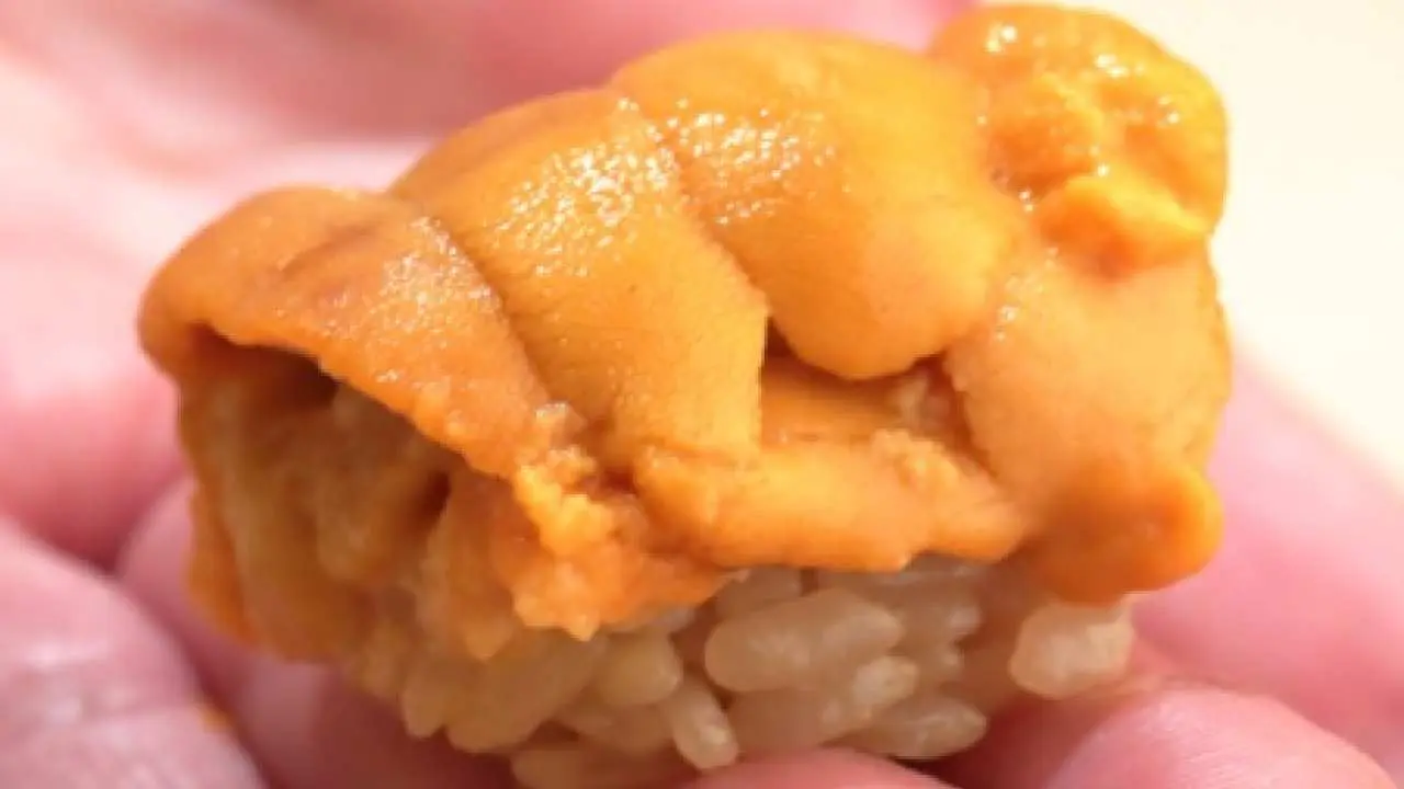 Tokyo, Japan | Sushi Restaurant | Edomae Sushi Street