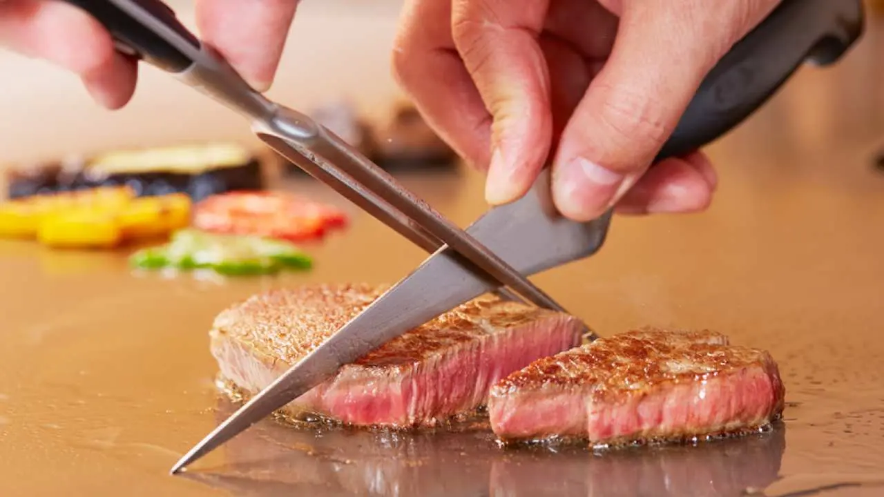 Around Tokyo Tower | Teppanyaki Katsura