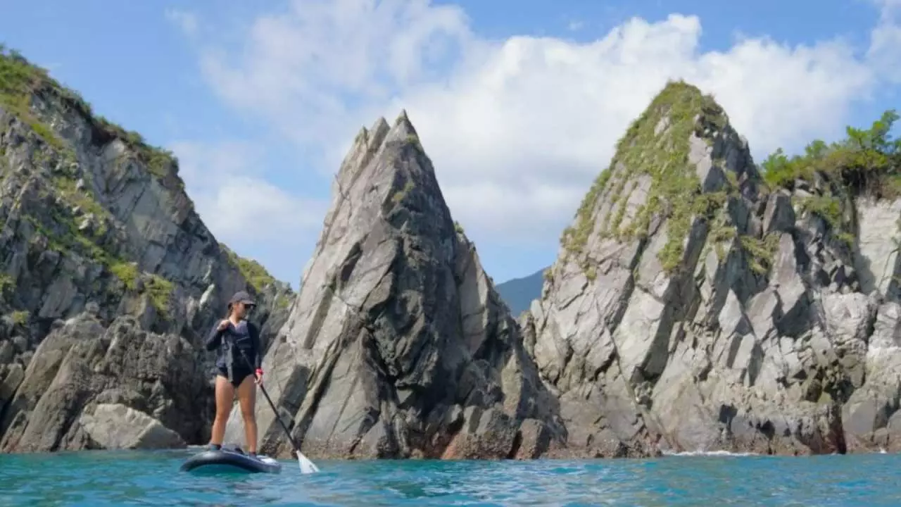 Yilan SUP | Dong'ao Stand Up Paddle | Pink Bird Forest Qiyan Secret Land | Parent-Child & Couple Outdoor Activities [Group of 2]