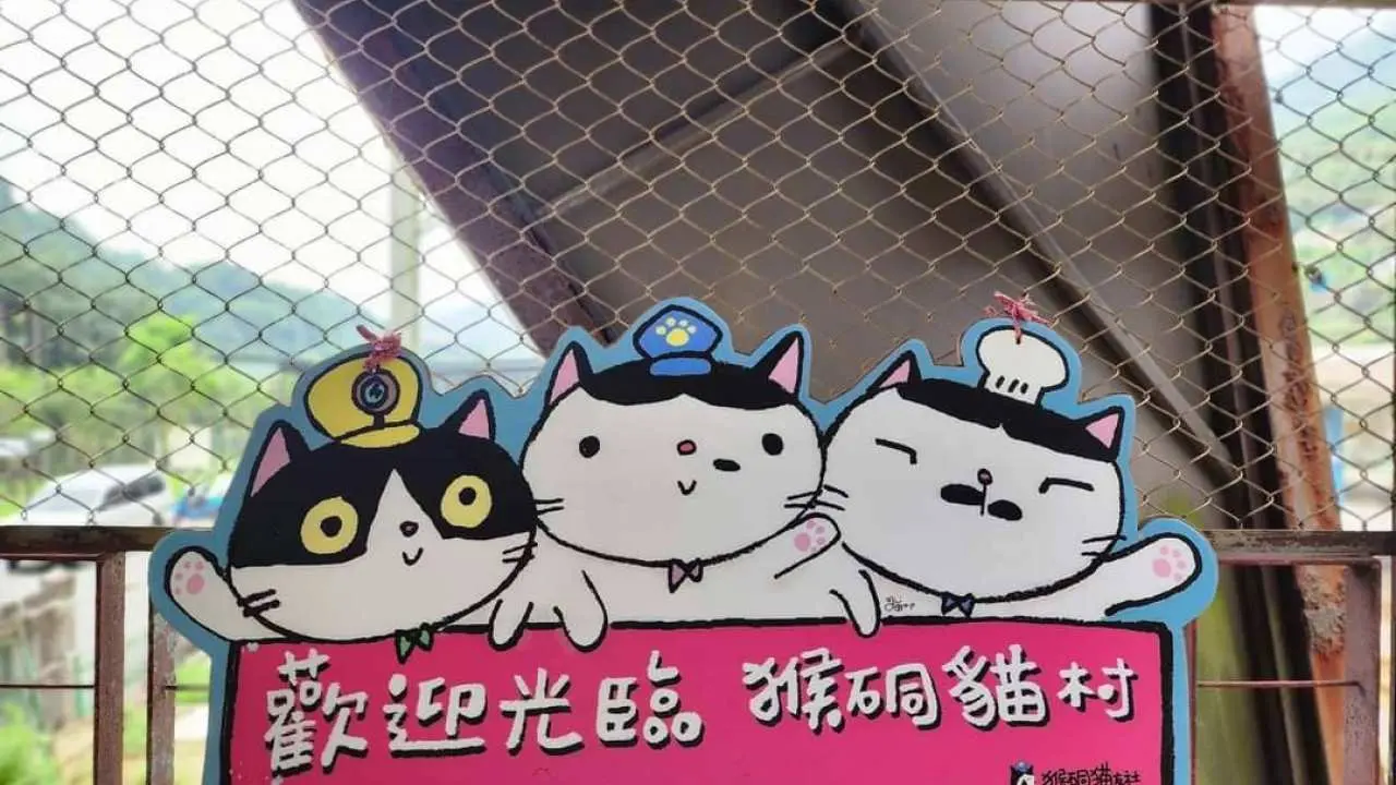 Northeast corner one-day trip | Houtong Cat Village & Jiufen Old Street & Golden Waterfall Walk & Sian Sian Coffee Afternoon Tea & Chaojing Park