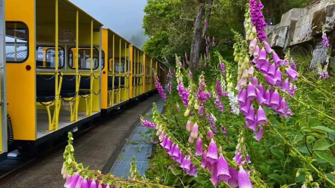 The beauty of Yilan - the most beautiful trails in the world, Taiping Mountain, and the one-day view of the ancient trail