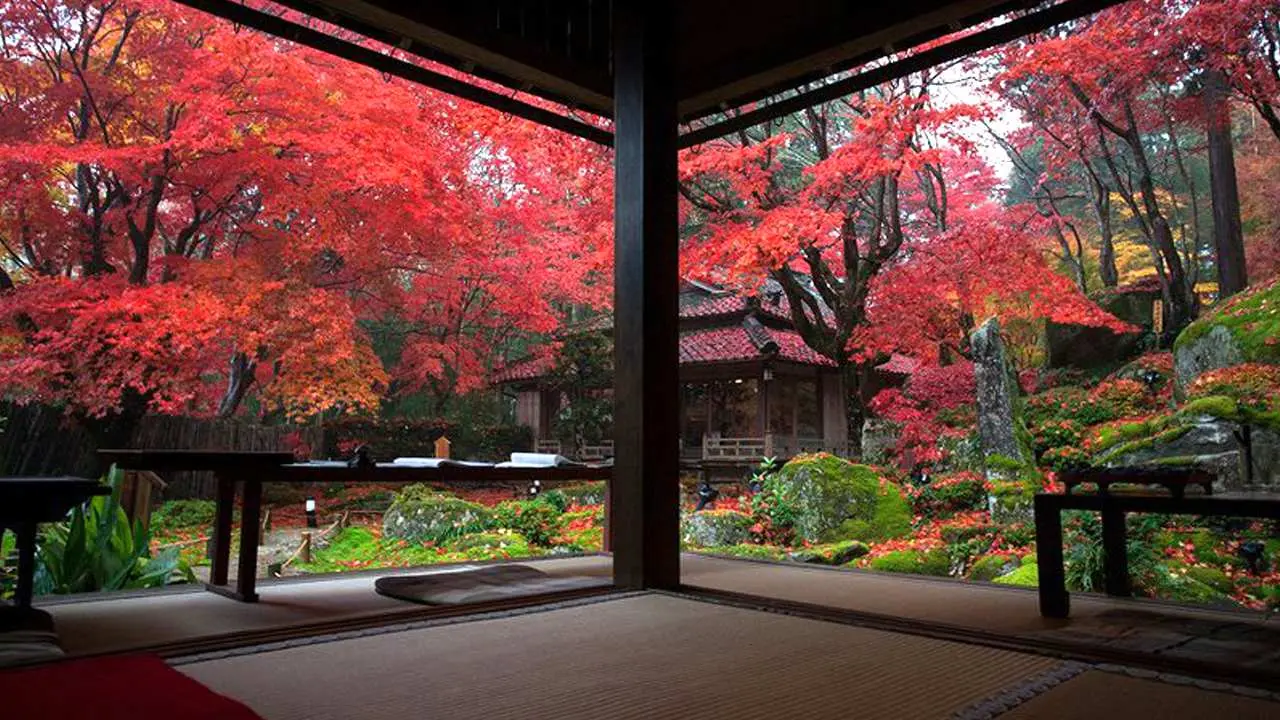 One-day maple viewing tour on Mt. Hiei in Kyoto | Enryakuji Temple, Hachimanbori, Stone Temple, Kyorinbo | Departing from Osaka and Kyoto
