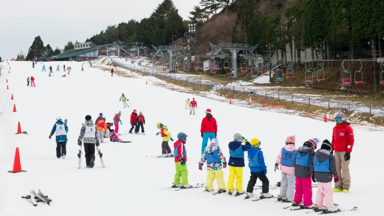 Play with the Snow! Crab Lunch Buffet and Strawberry Picking Bus Tour