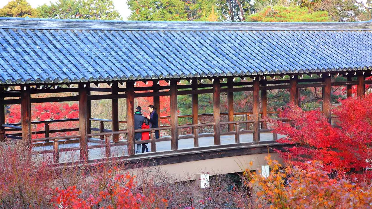 [Japan] Kyoto Tofukuji Kifune Shrine Autumn Maple Viewing Day Trip | Departing from Osaka