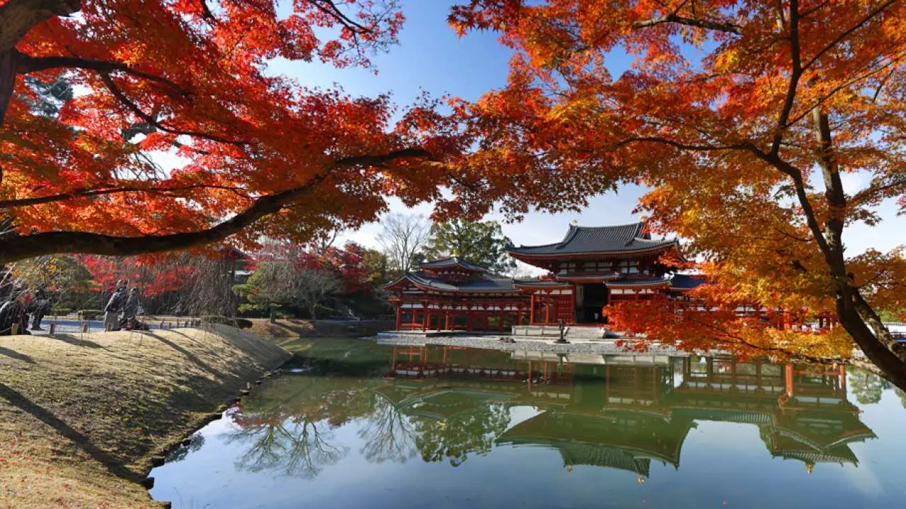 【2024紅葉季】日本京都宇治伏見一日遊|平等院—醍醐寺—三室戶寺—普茶料理