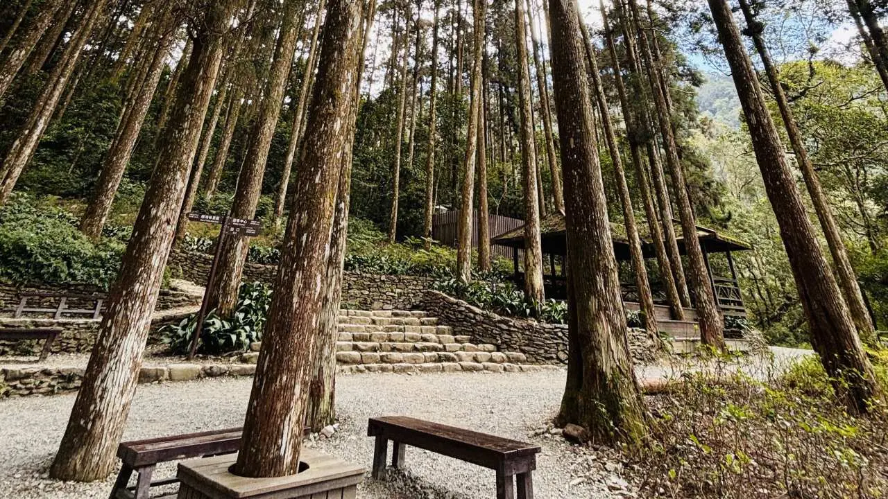 [KKday Exclusive] Kaohsiung Taoyuan | Fujizhi National Forest Recreation Area | Kaohsiung City Pickup