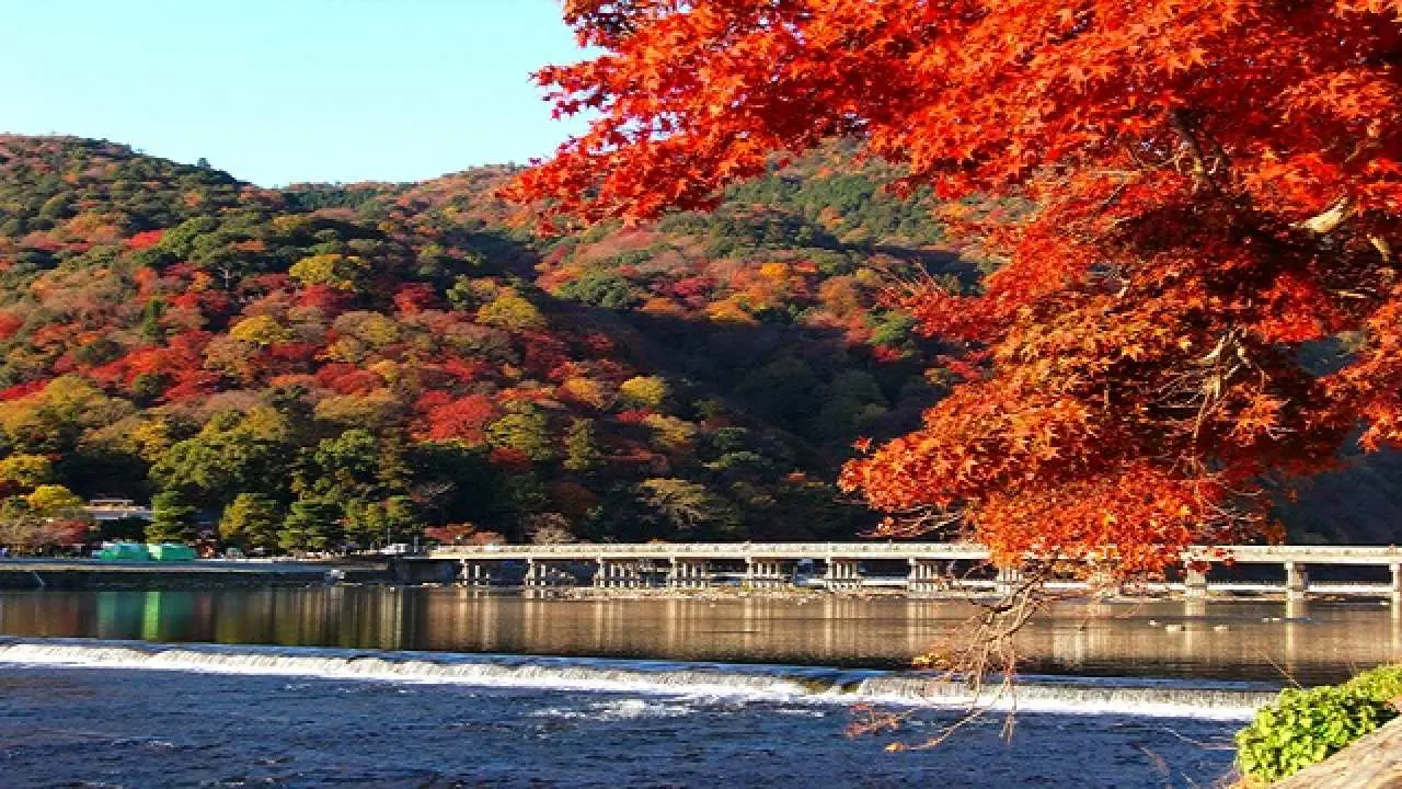 One-day trip to Nara, Kyoto | Fushimi Inari Taisha Shrine & Arashiyama & Nara Park | Japanese lunch plan included (departing from Osaka and Kyoto)