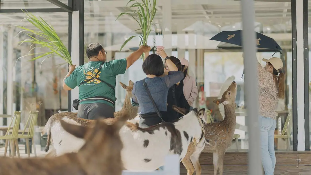 [Guaranteed tour] Yilan Samsung | Xingbao Onion Farm | Samsung Onion Natural Yeast Bread DIY + Animal Interaction Experience | 12% off for 8 people package