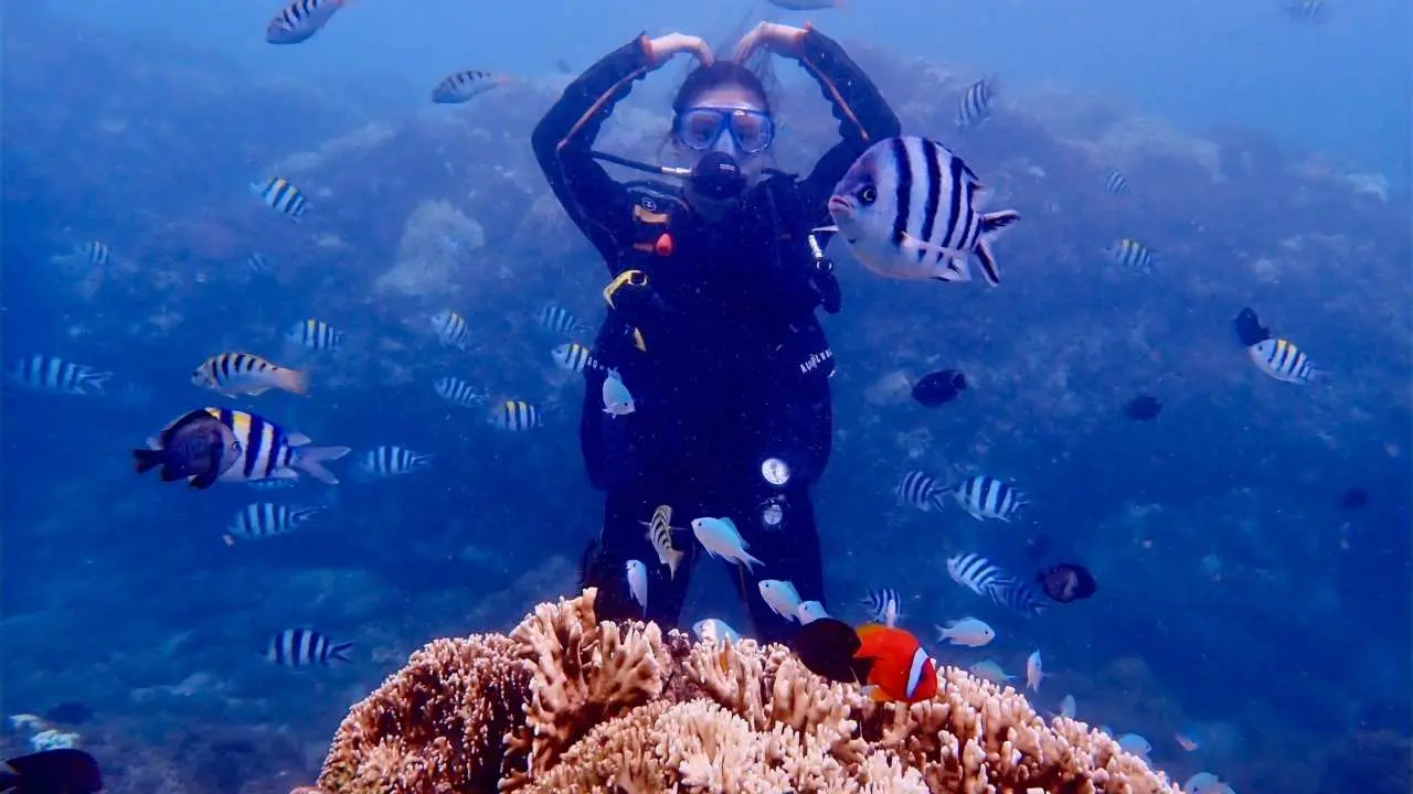 Kenting | PADI Scuba Diving Beginner Certification Course | Three Days and Two Nights | Wanlitong Snorkeling Center
