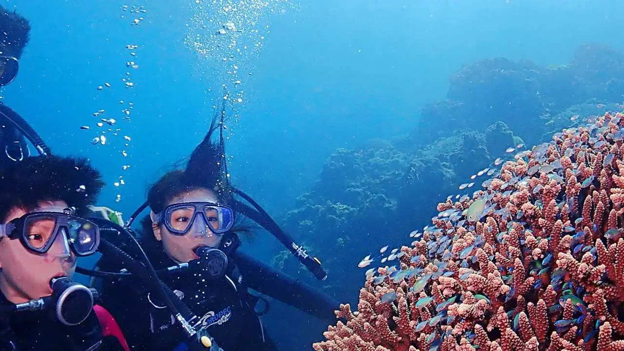 Kenting, Taiwan | One-on-one diving experience free underwater photography | Taiwan diving experience scuba diving