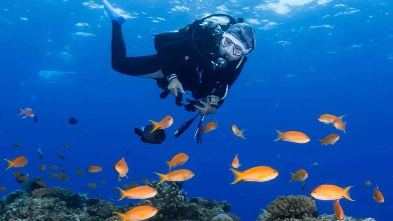 Kenting, Taiwan | Tourist diving requires a diver's license | Taiwan Diving Fun Dive