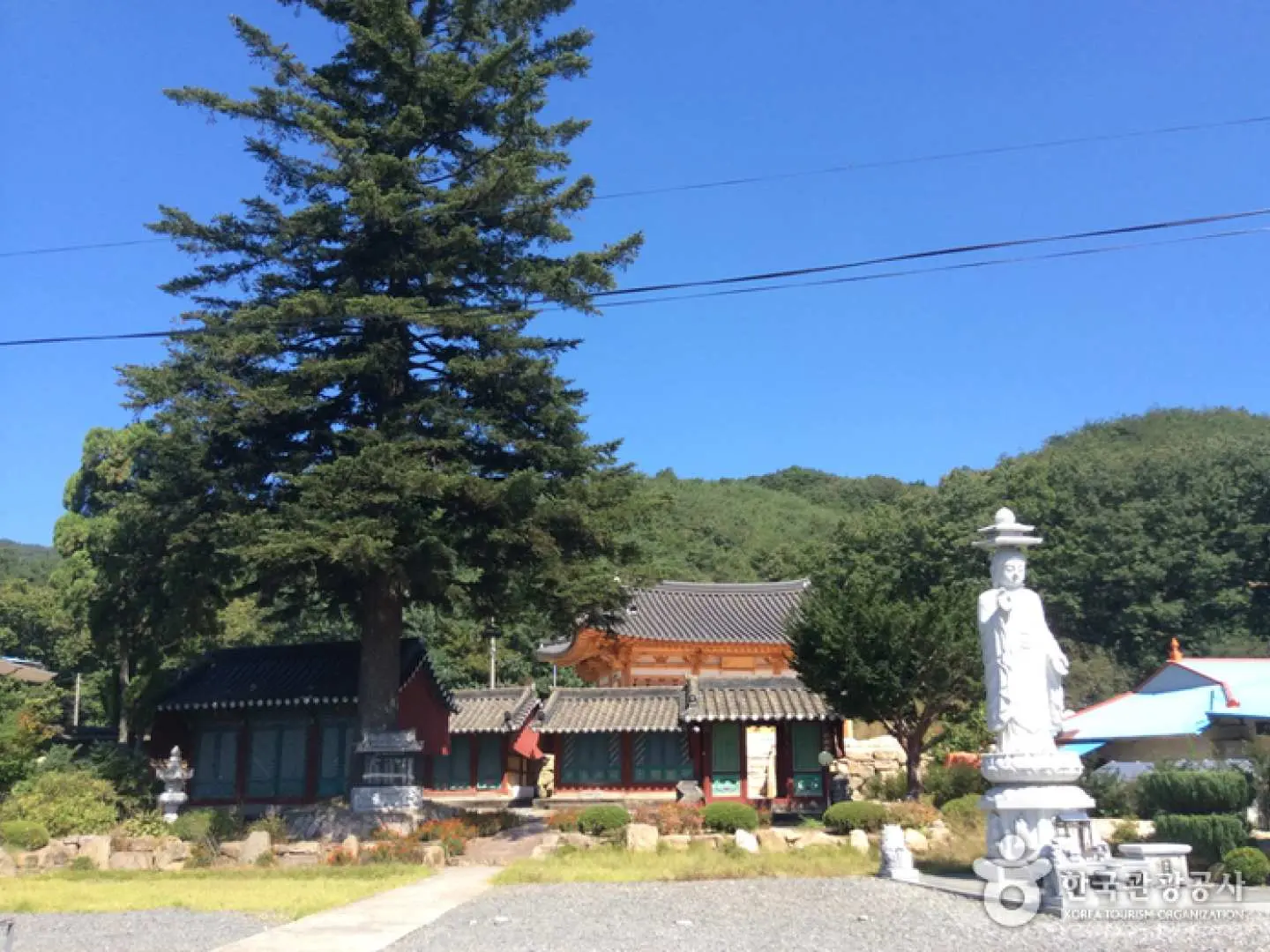 Gyeongbuk recommend Attractions｜How can I not go to 신흥사(상주 ...
