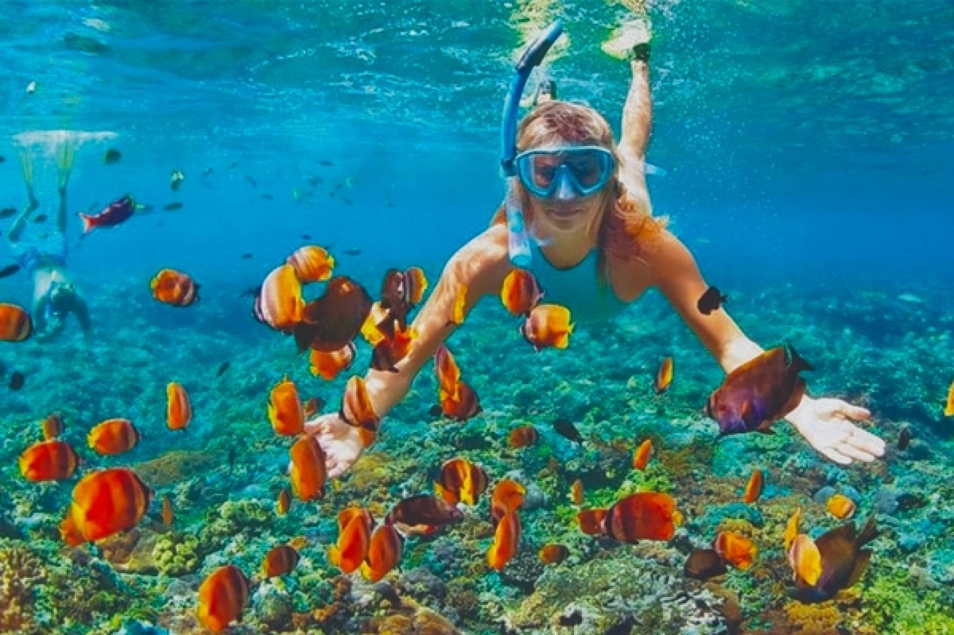 Mari Mari Guided Boat Snorkeling In Sabah Malaysia Kkday