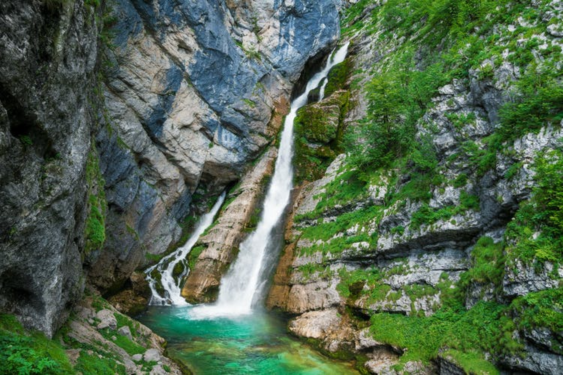 Lake Bled And Bohinj Tour Beyond The Alpine Lakes Kkday