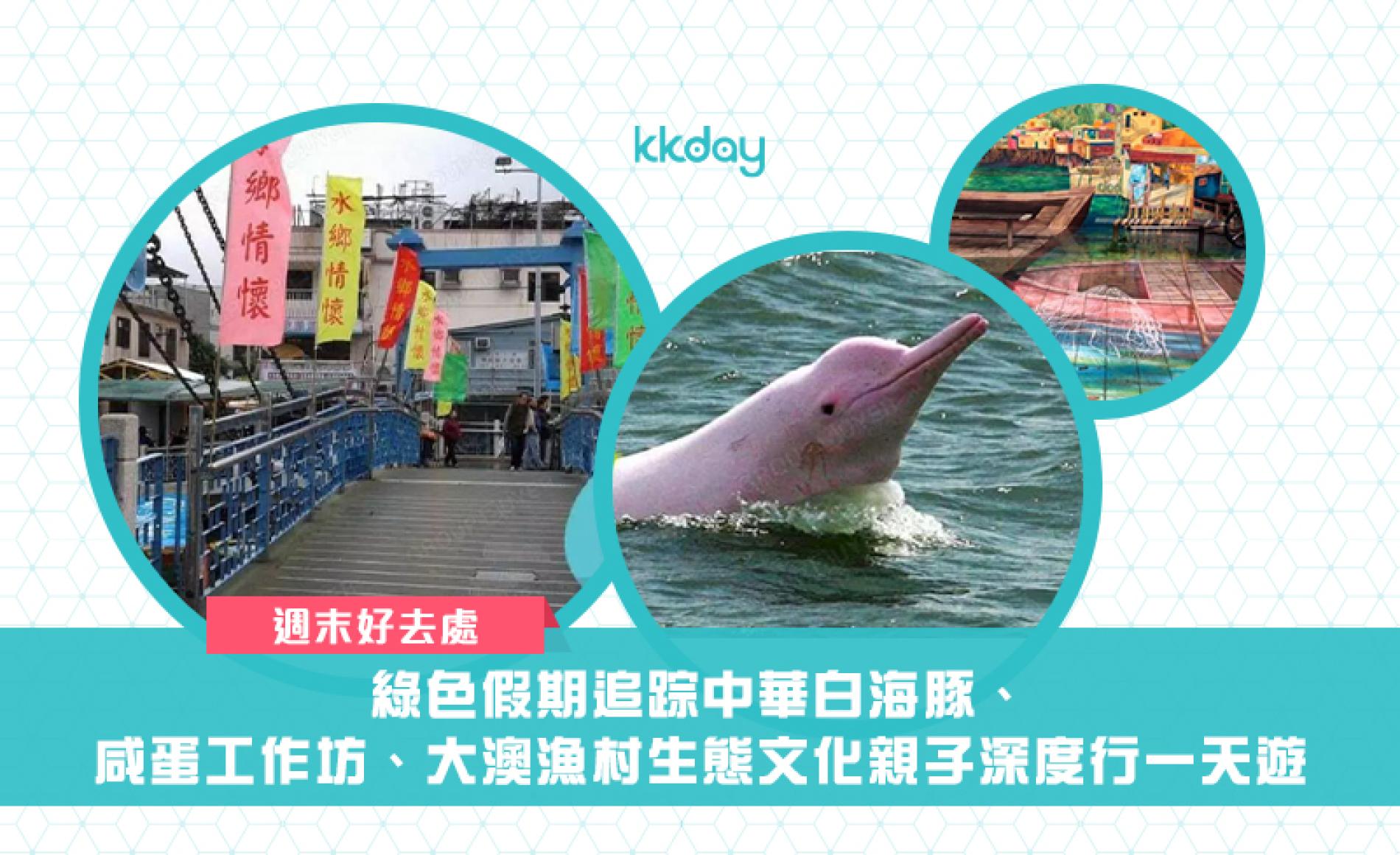 Tour 1 ngày Tai O｜Hội thảo Cá heo trắng Trung Quốc & Trứng muối & Làng chài  Tai O Văn hóa sinh thái Tour gia đình - KKday