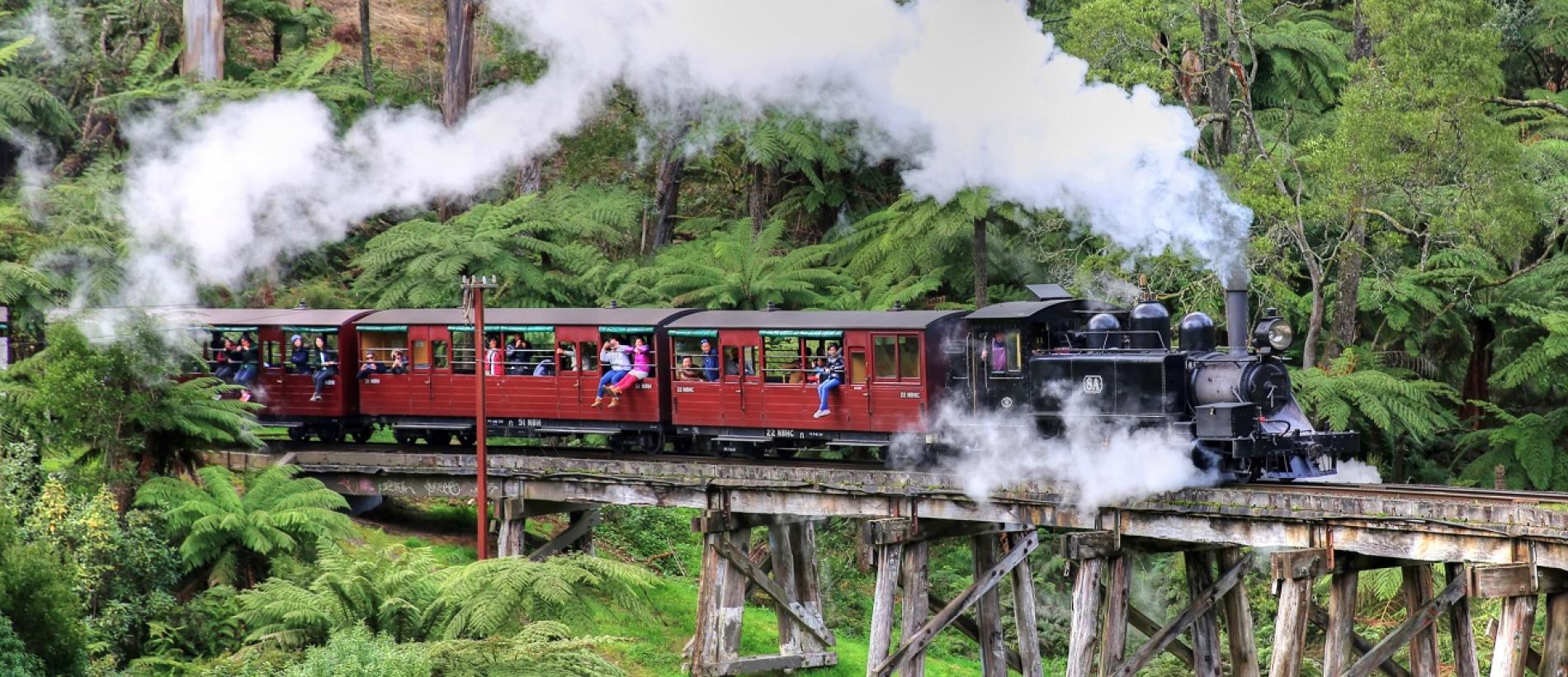puffing billy bus tour