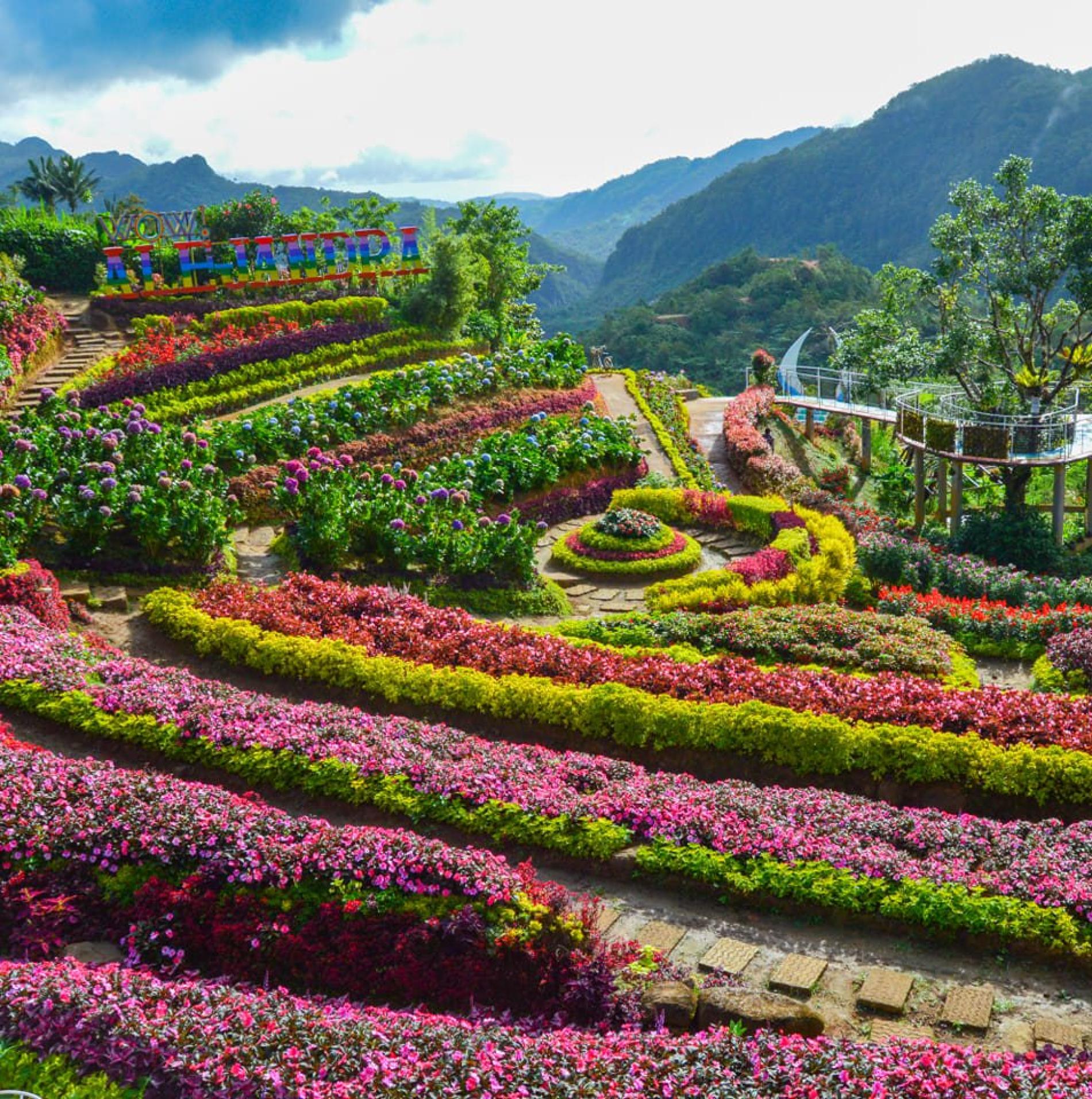 Cebu Mountain Tour Sirao Flower Garden